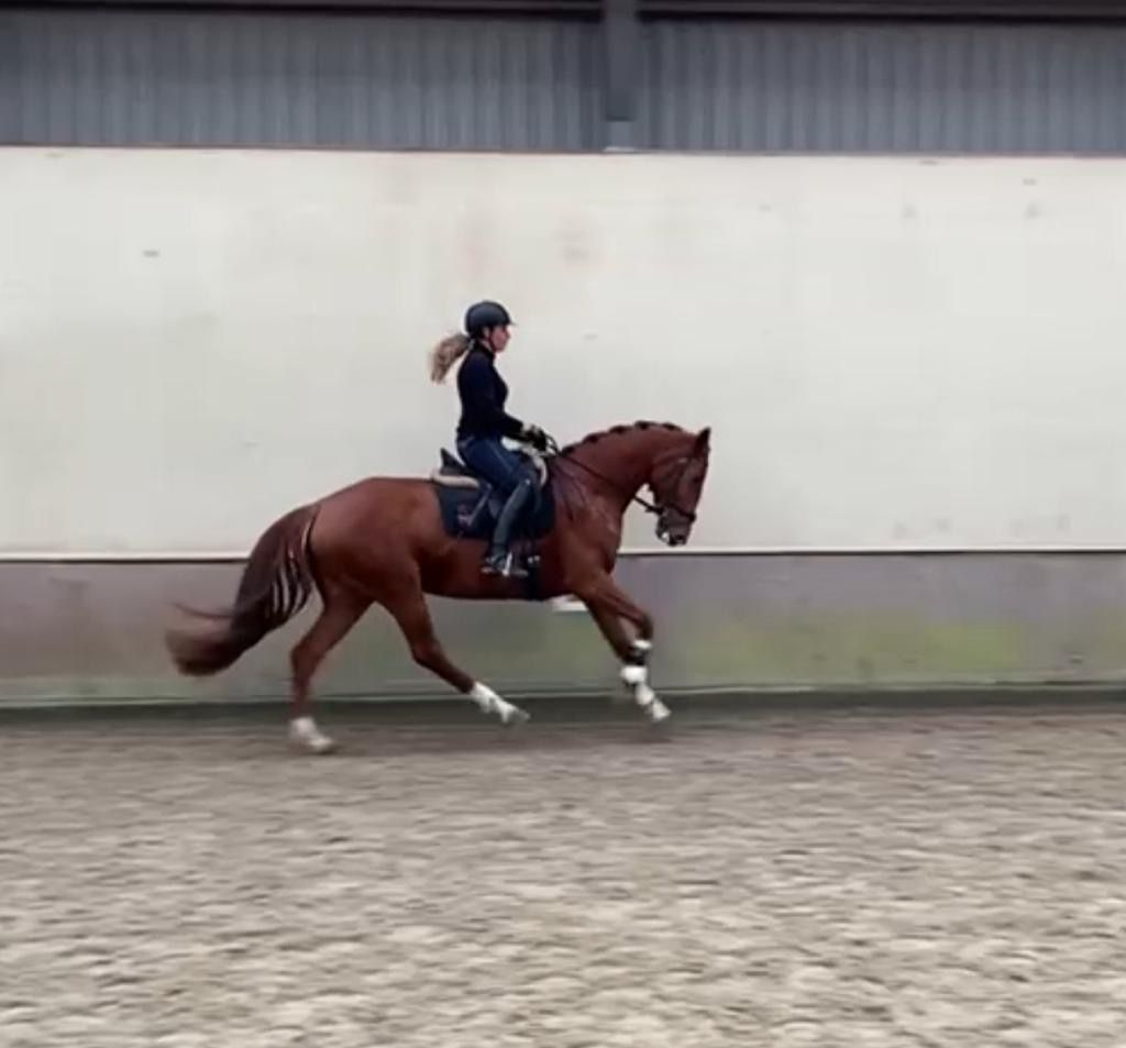 2a530fed 1973 4a2d abb8 cf92688c955a bb4fd314