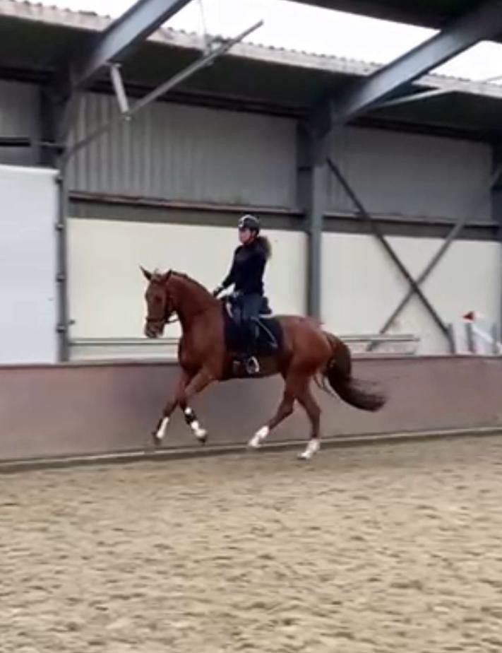 458cbd6e cbf7 4b78 902f d09da6372df3 fba07866