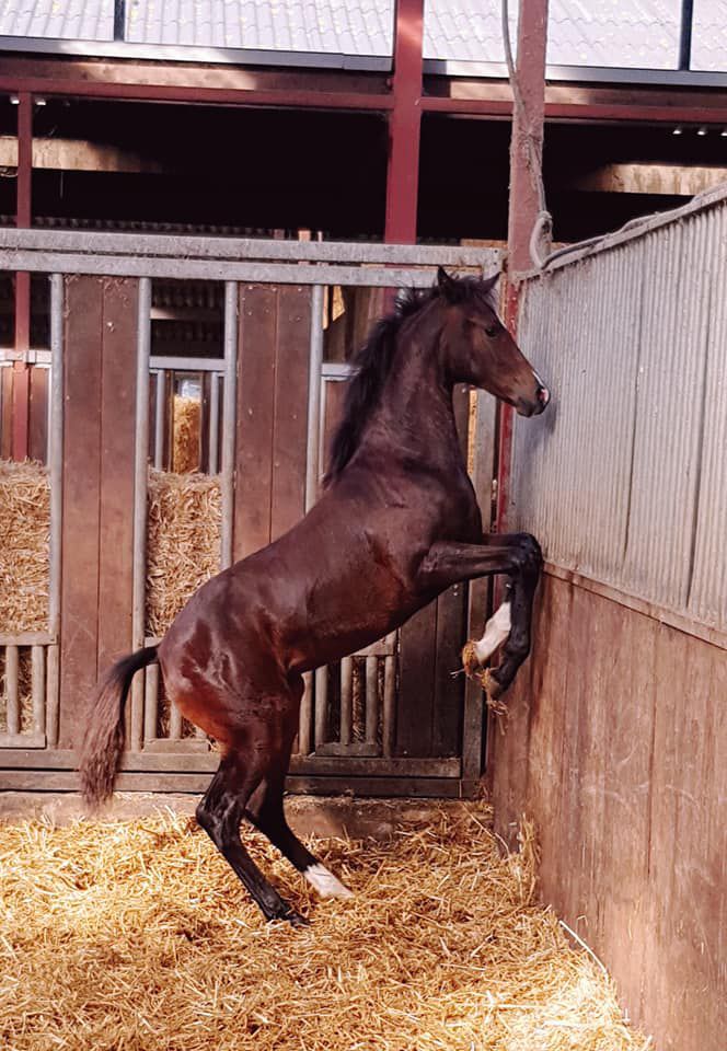 69203261 2290795957899310 1006877489668030464 n ec06b489