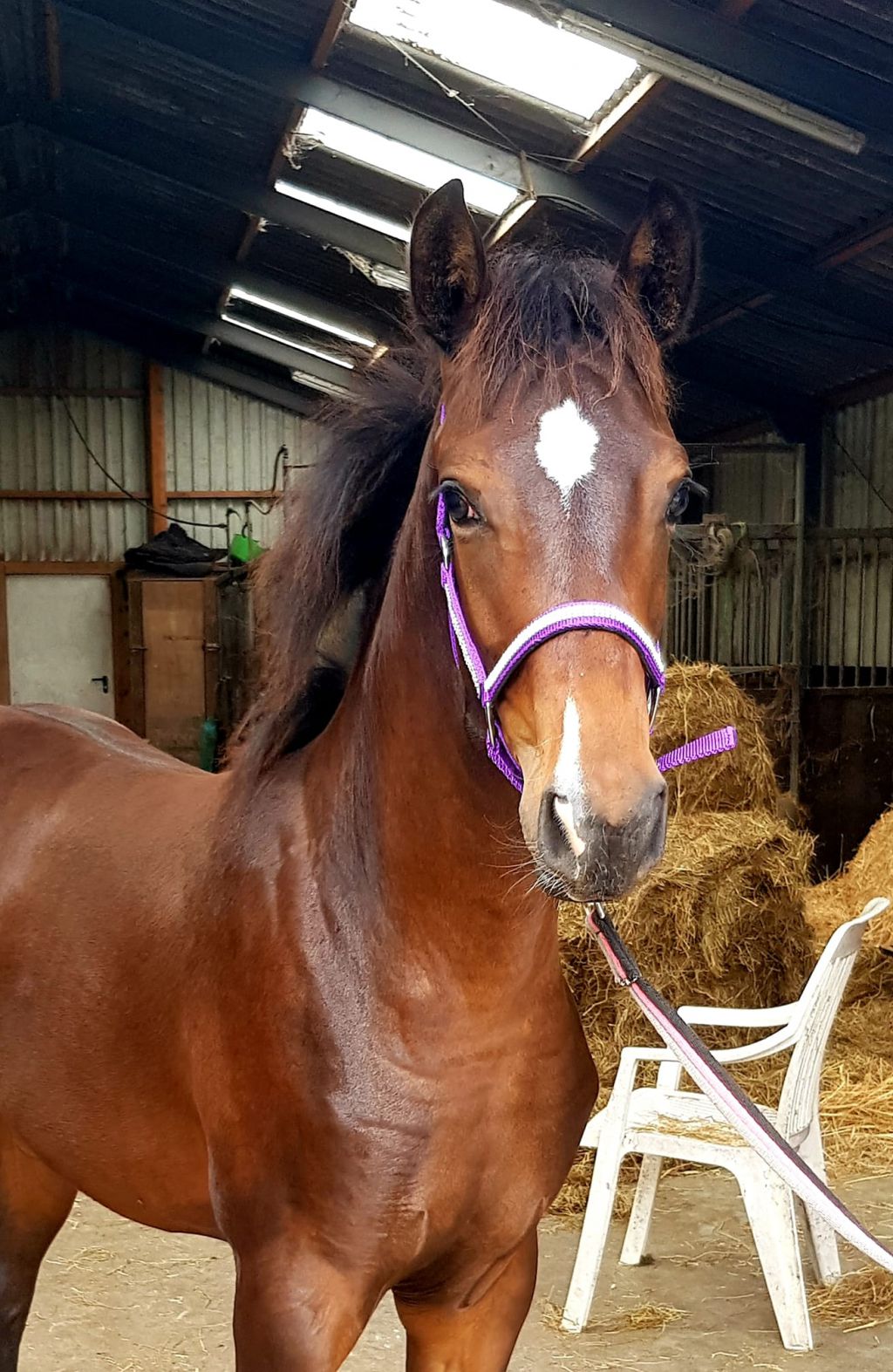 70220248 2269948276650745 6716842841034719232 o aa941438