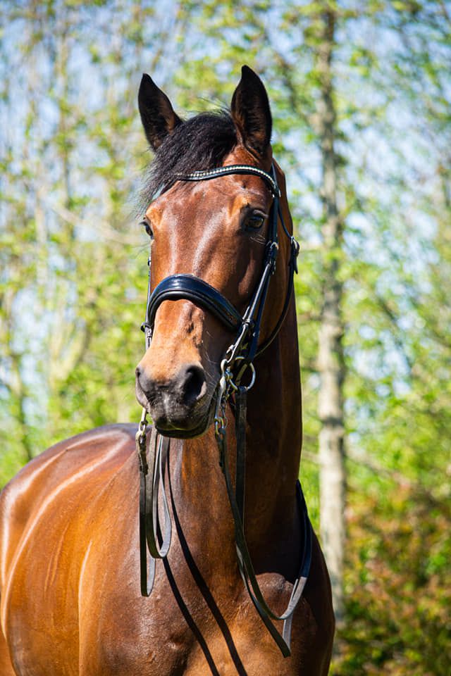 94863791 2482303345415236 5828514351476113408 n 415d122e