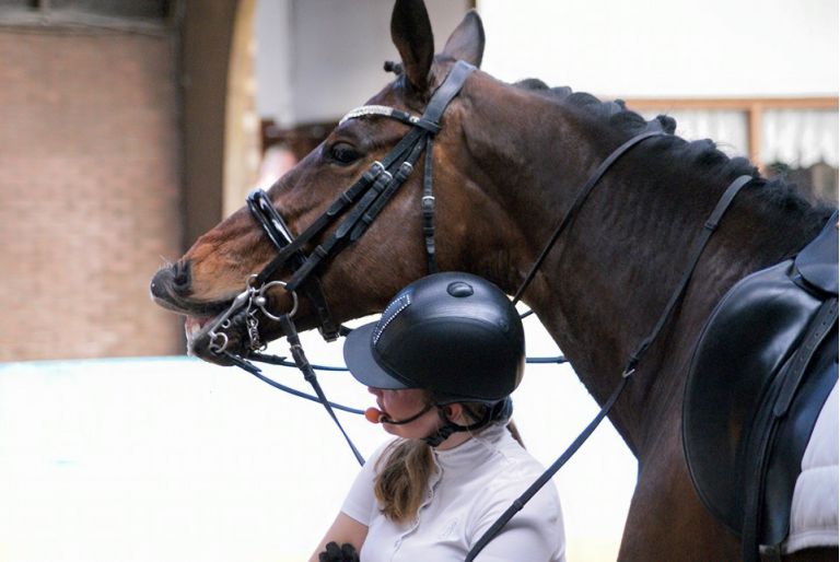 action clinic 3b169271