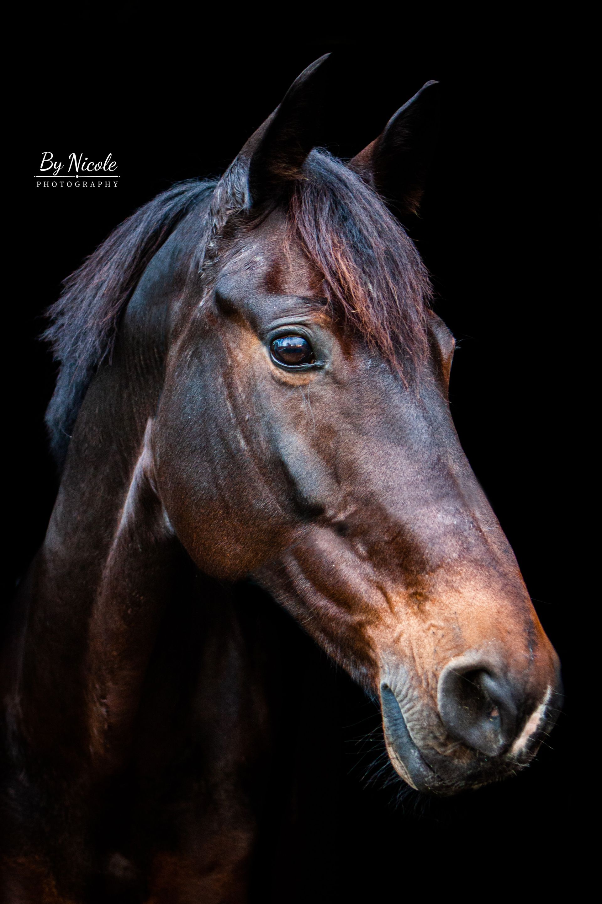 canoeska blackfoto 9404f356