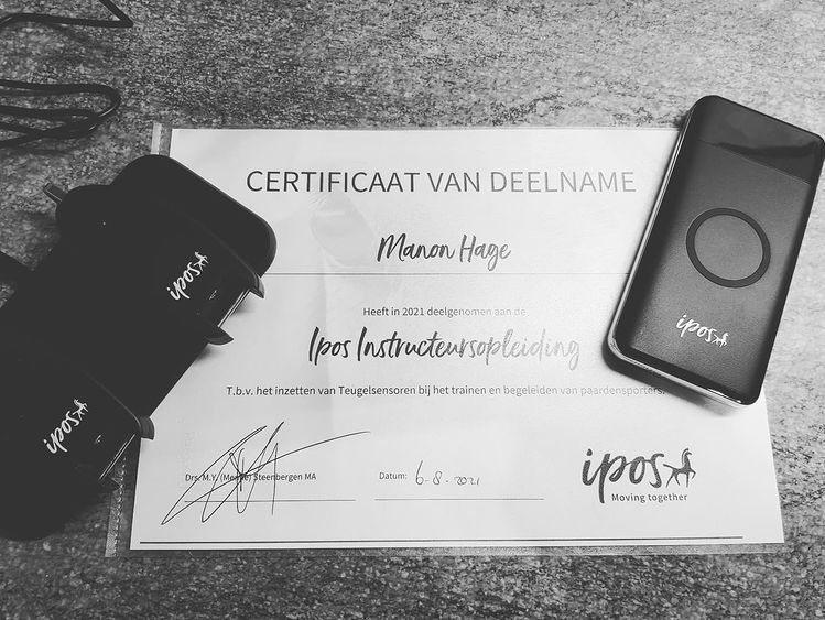 ipos diploma b3dfb04e