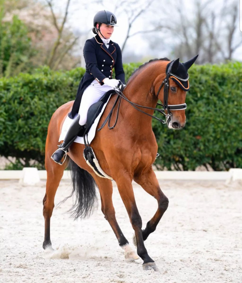 manon discovery 967ff595