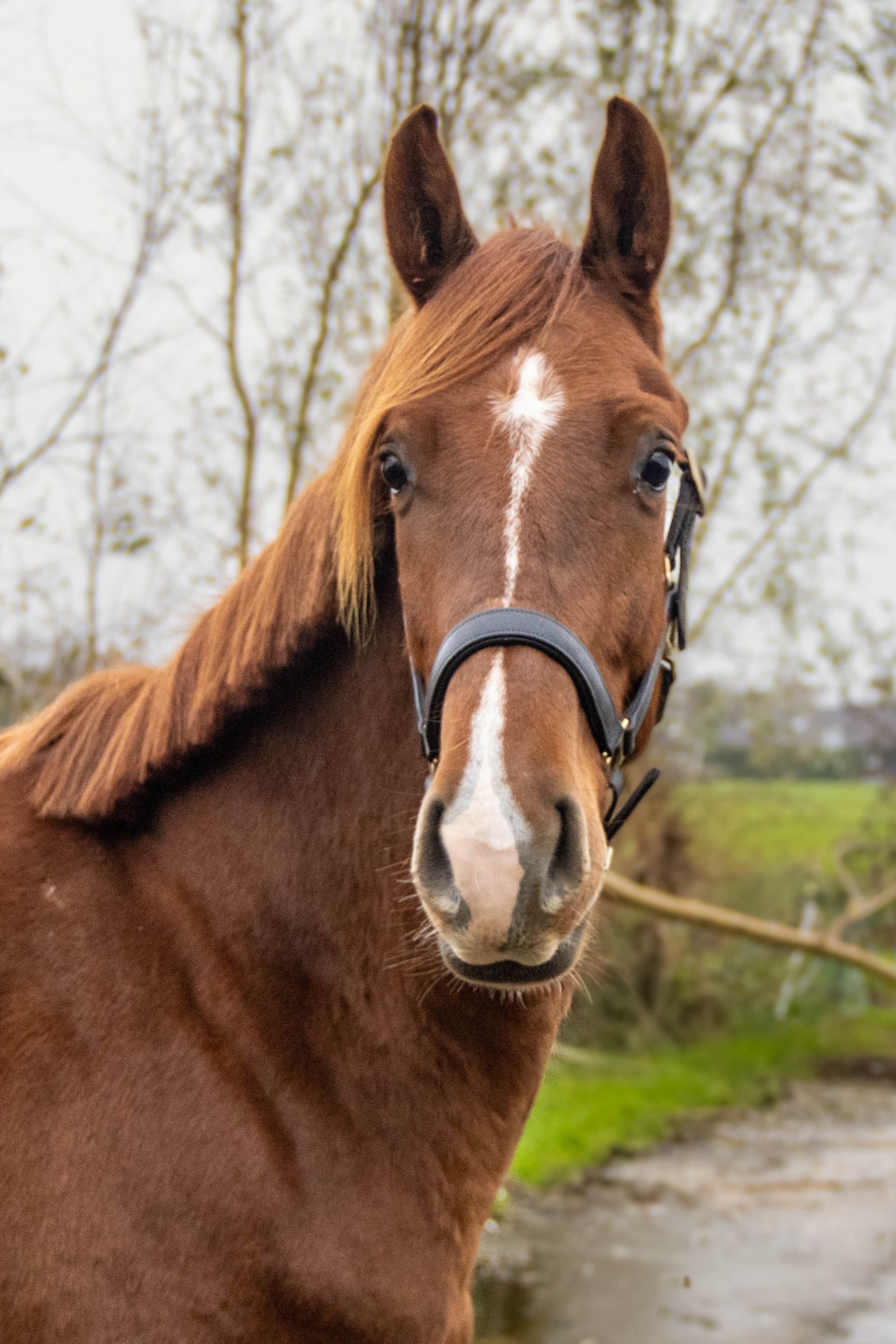 readytorumble 7 6cf21de3