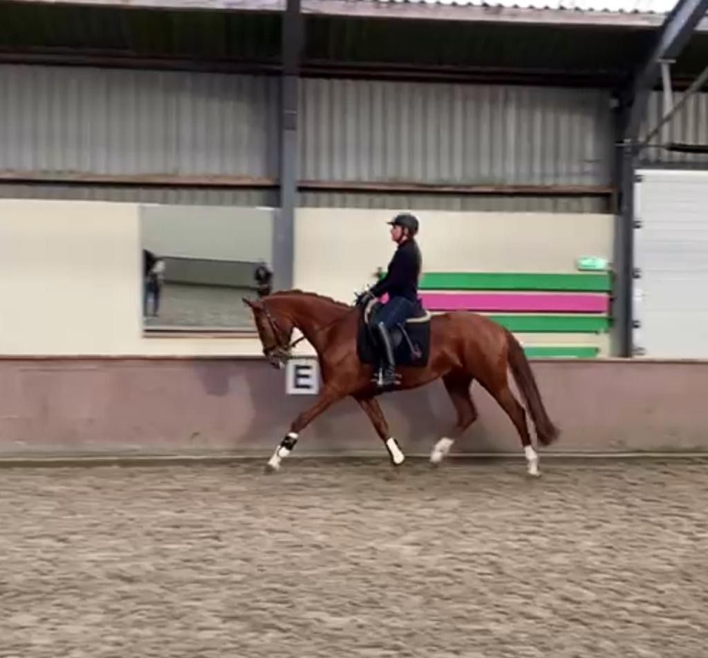 b8721fc7 0ef0 434b ac0f 3e4d65c3c64d 211a80fa