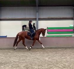 d6dde3ce 57c5 4270 ba9b ba2fbcd94dc4 d6ec5b64