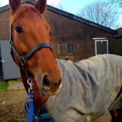 dd8970e5 2019 4116 a7fb be3060a86a20 5e0f4b80