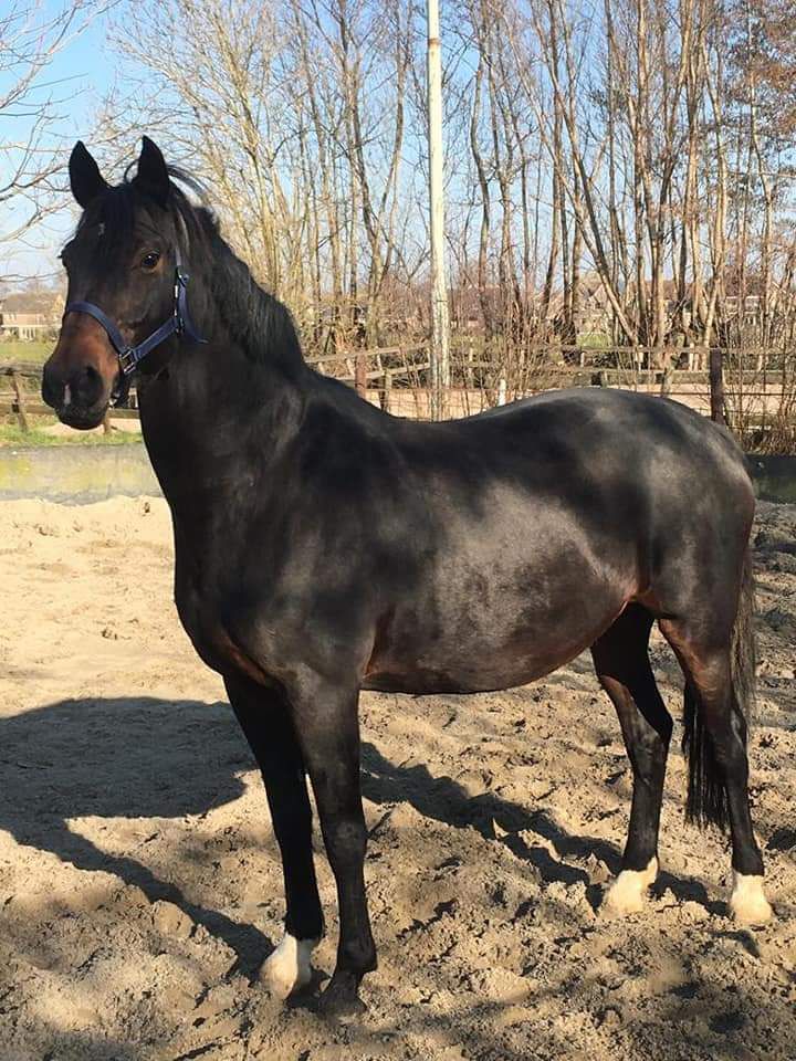 facebook 1564607091285 069f6b1c