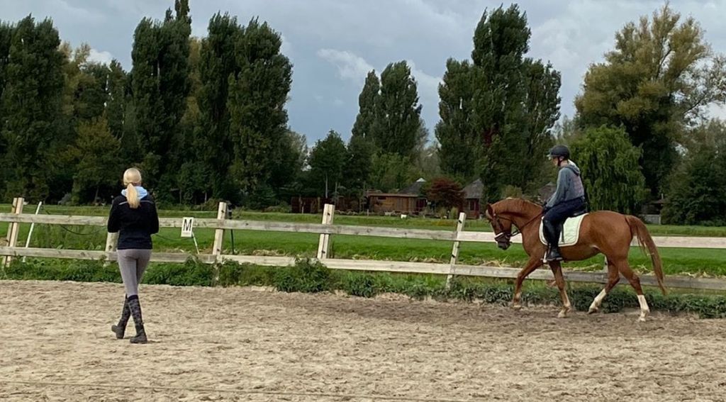 lesgeven stage 2 klein 8550df1f