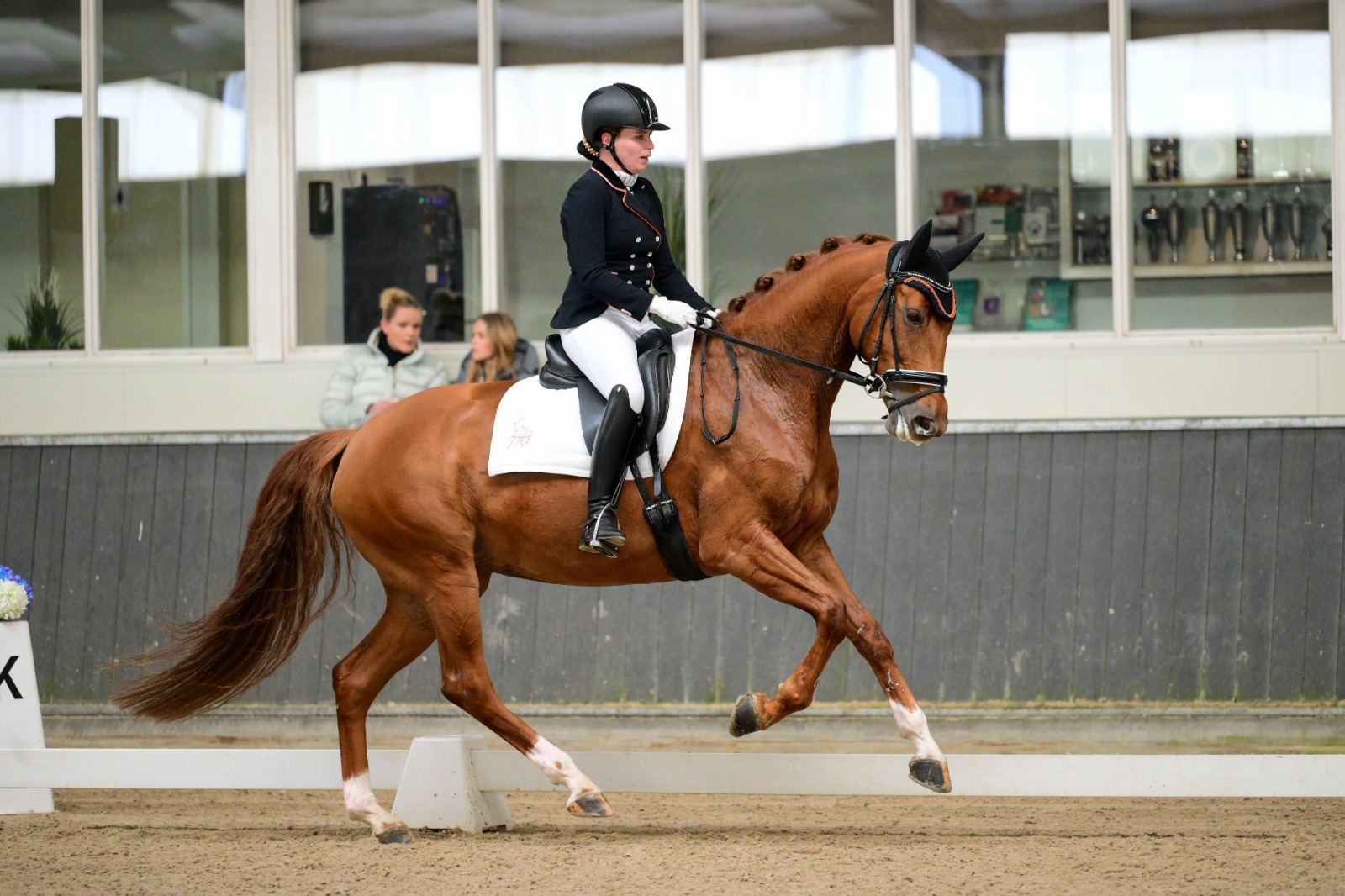 Nouvelle regio '26 Nouvelle regio '26