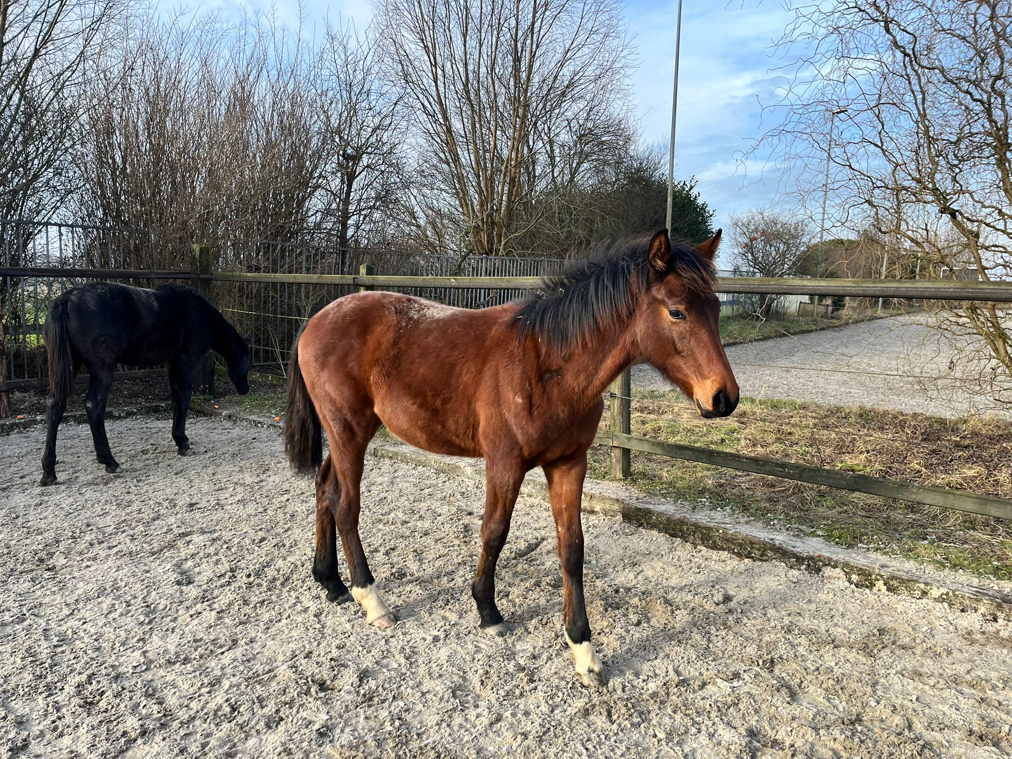 whatsapp image 2026 01 23 at 12.15.44