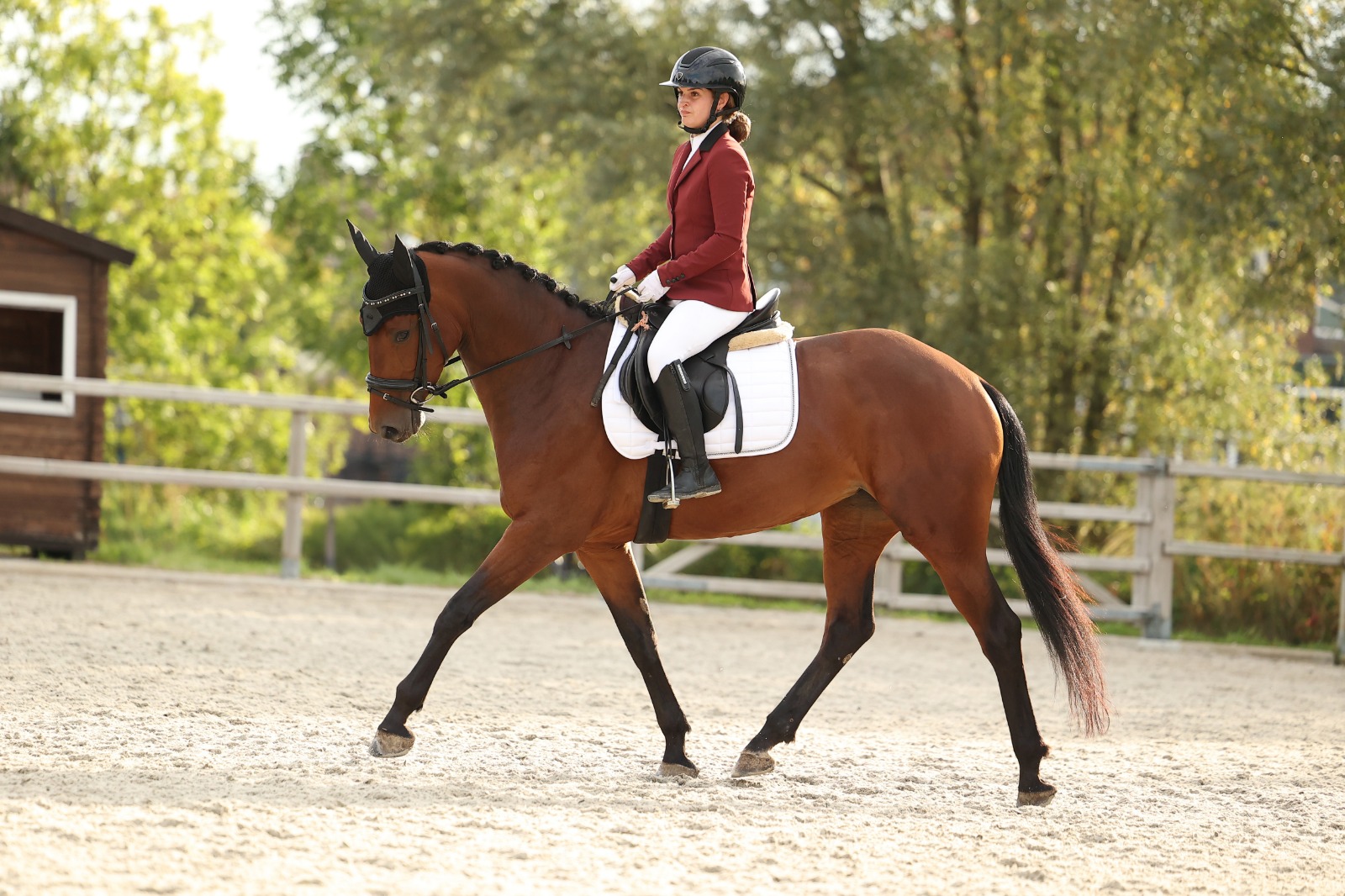 whatsapp image 2026 02 15 at 19.54.16