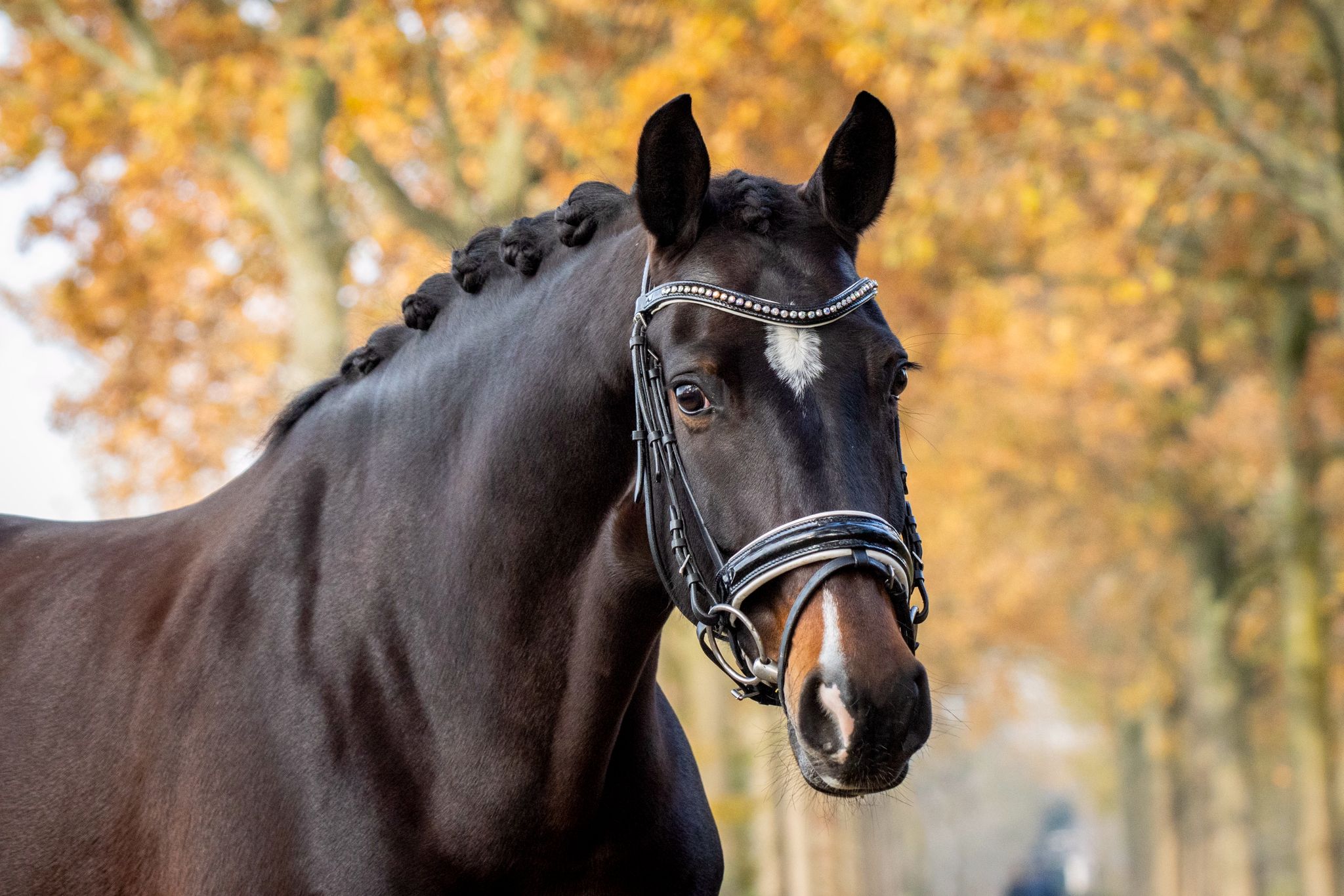 Once Upon A Time whatsapp image 2026 03 02 at 22.10.09 (1)