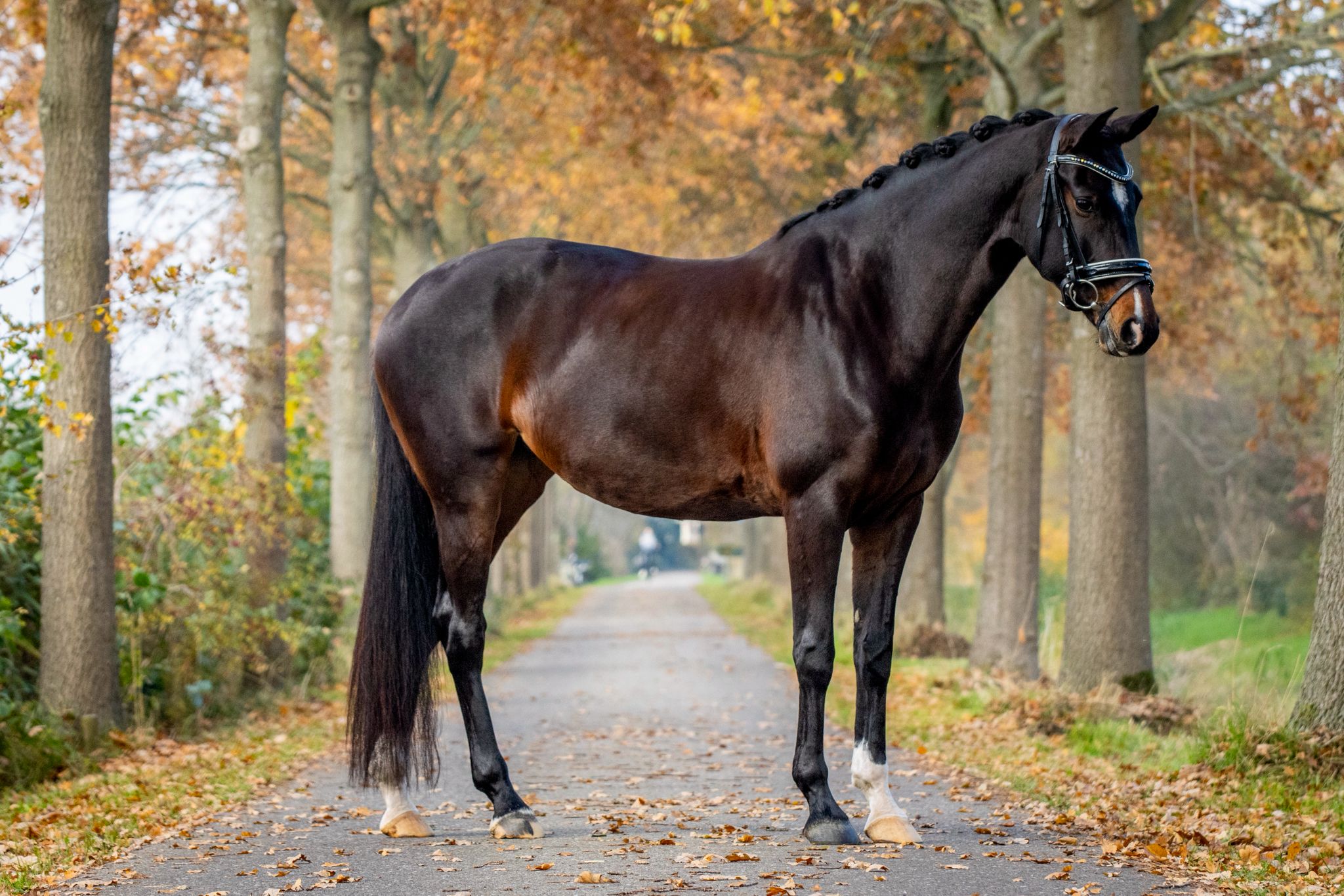 Once Upon A Time whatsapp image 2026 03 02 at 22.10.09