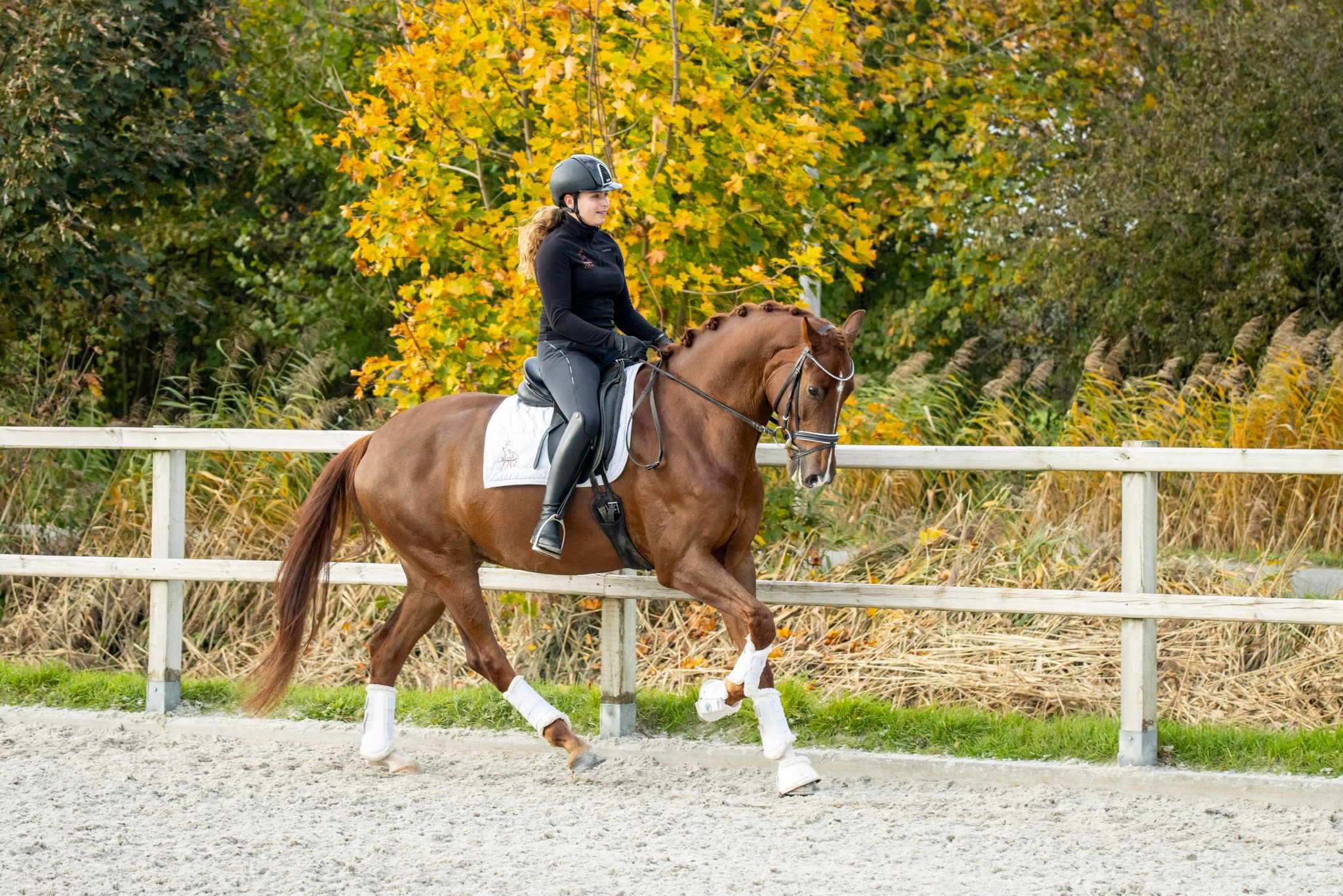 whatsapp image 2026 03 02 at 22.18.53 (1) whatsapp image 2026 03 02 at 22.18.53 (1)