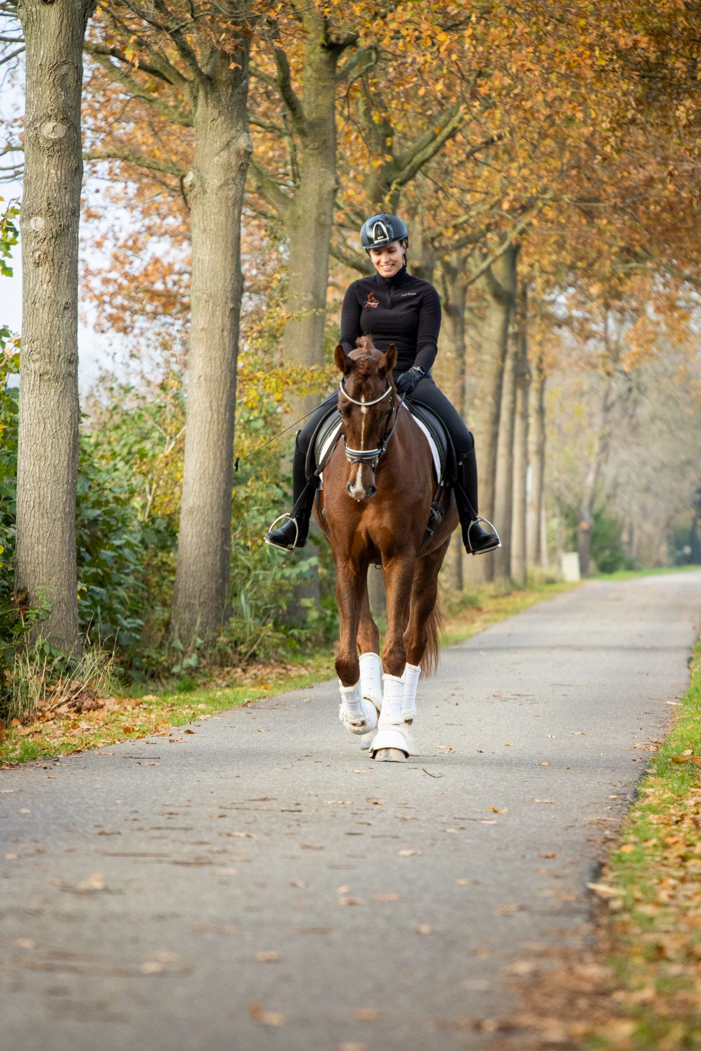 whatsapp image 2026 03 02 at 22.18.53 whatsapp image 2026 03 02 at 22.18.53