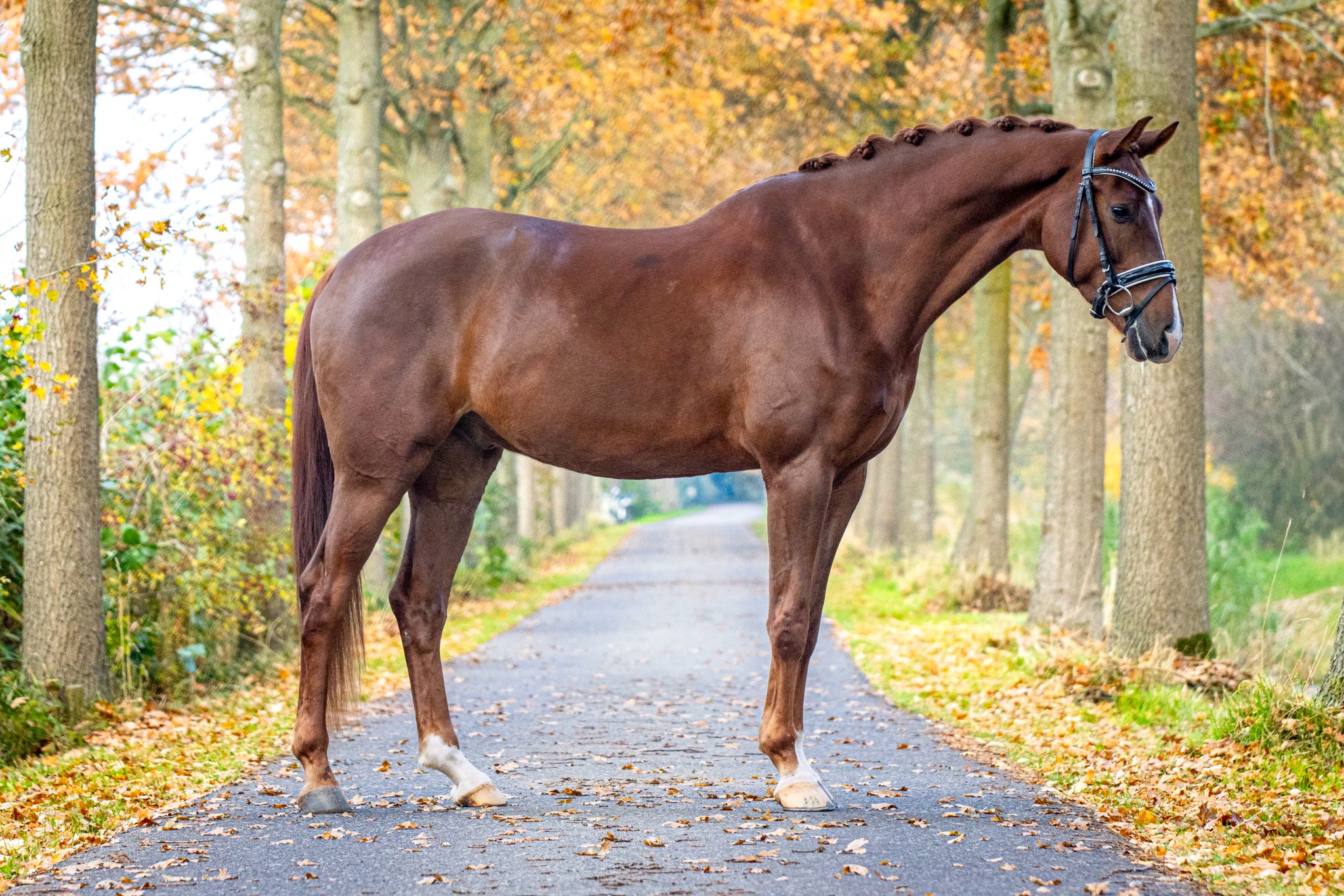 whatsapp image 2026 03 02 at 22.18.54 whatsapp image 2026 03 02 at 22.18.54